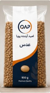 عدس
